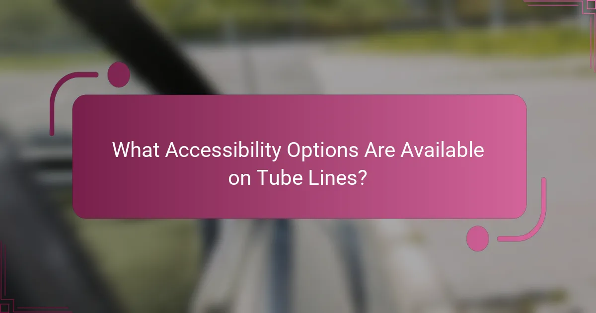 What Accessibility Options Are Available on Tube Lines?
