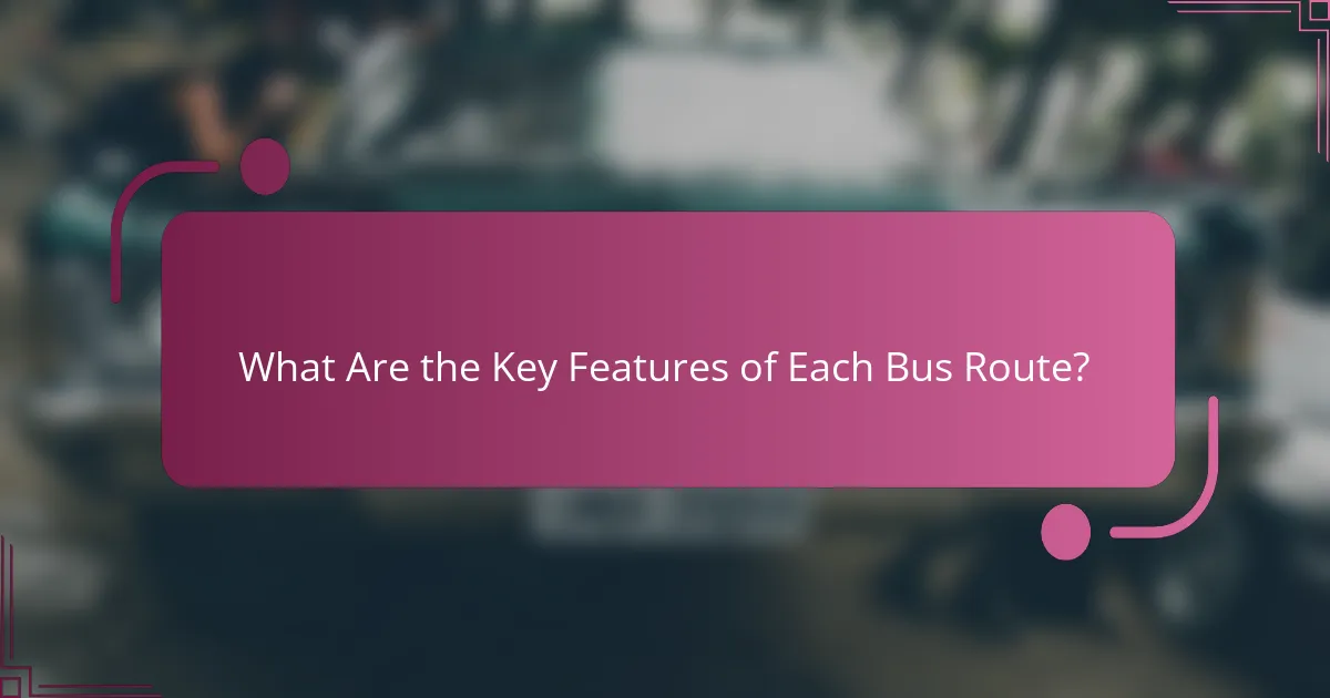 What Are the Key Features of Each Bus Route?